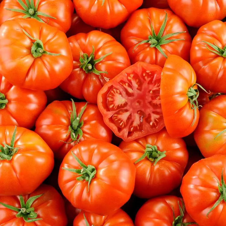 TOMATE COTELEE ROUGE