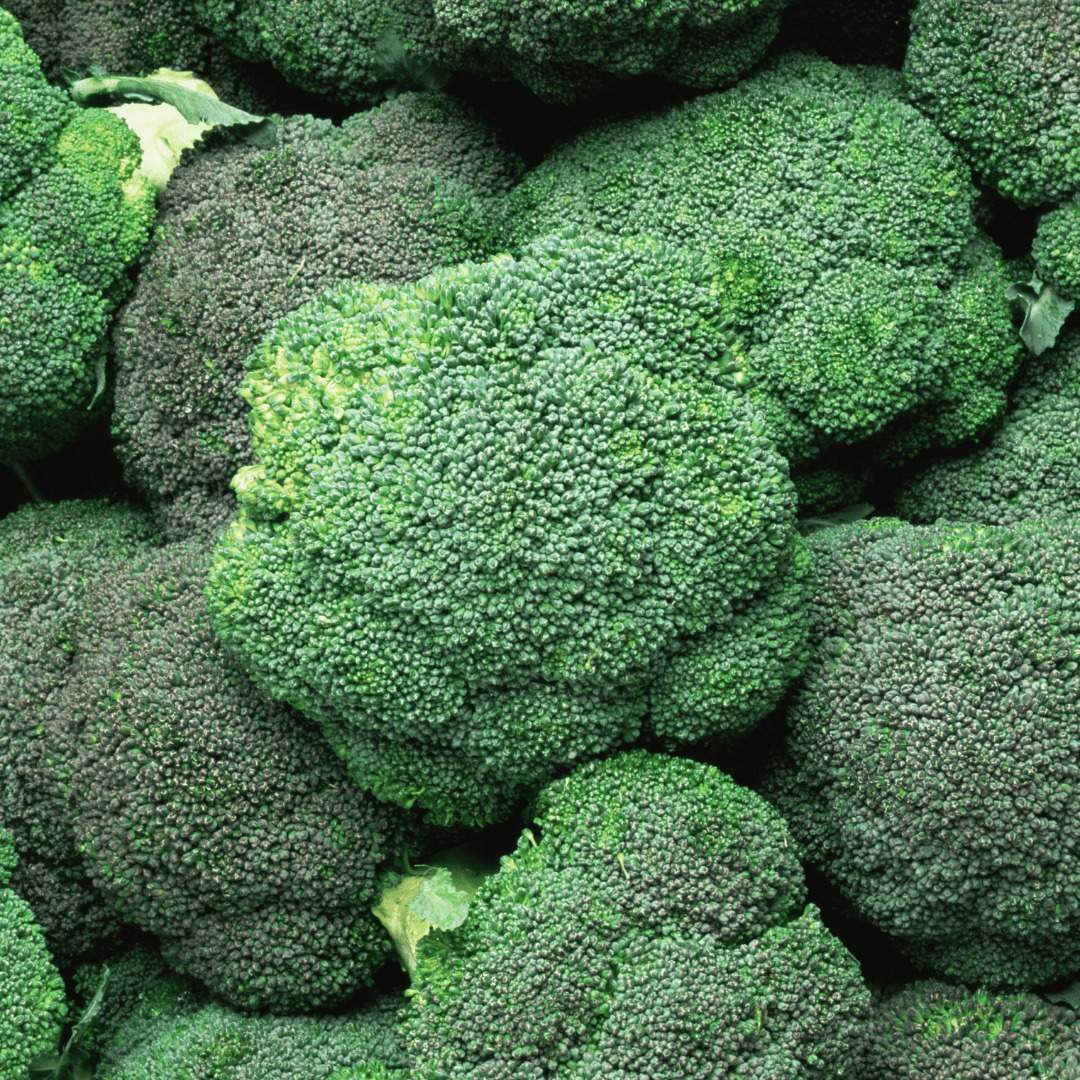 BROCOLI