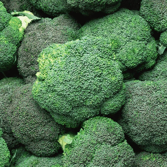 BROCOLI