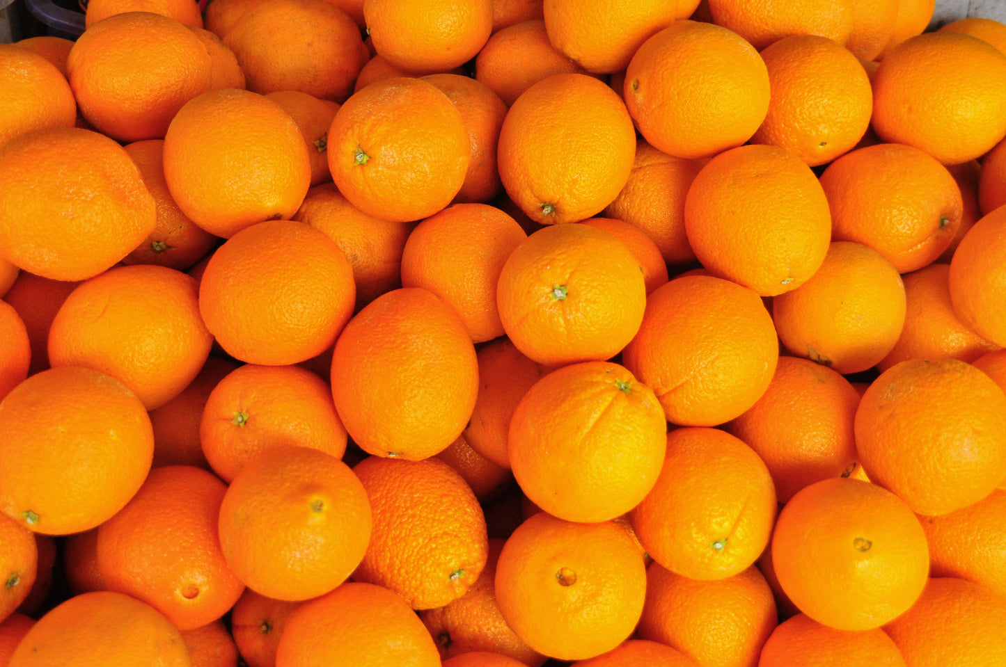 Orange à dessert
