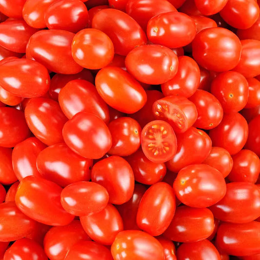 TOMATE CERISE ROUGE