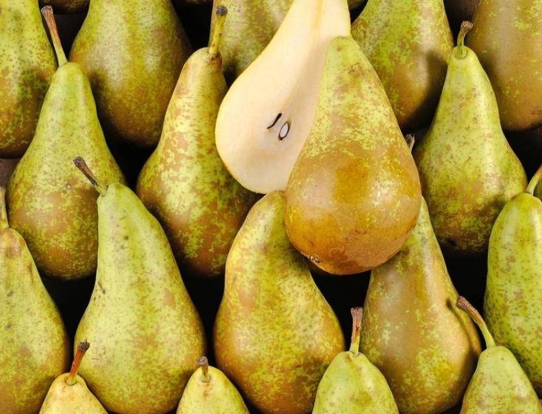 Poire conférence